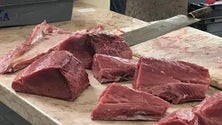 Imagem de Aumento pela procura de atum (vídeo)