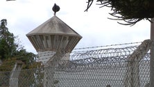 Imagem de Recluso fugiu do Estabelecimento Prisional do Funchal (vídeo)