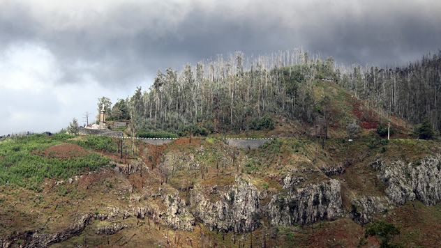 Imagem de Madeira planeia intervenções nas estradas regionais