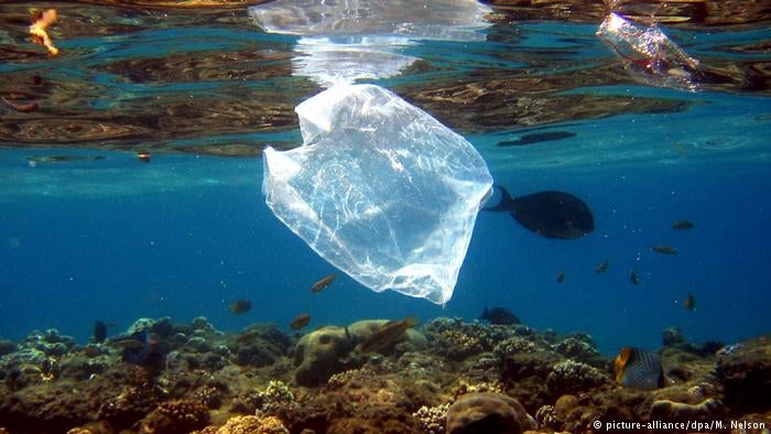 Imagem de Reciclagem “não resolve sozinha” problema do plástico