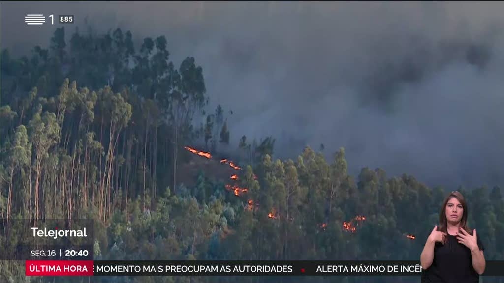 União Europeia disponibiliza oito aviões para combater os incêndios