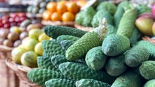 Imagem de Venda de fruta diminui no Verão
