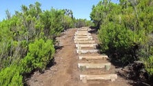 Imagem de Praticante de trail desaparecido