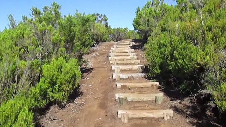 Imagem de Praticante de trail desaparecido