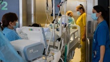 Imagem de Mais 19 mortes devido à Covid