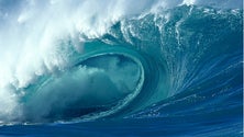 Imagem de Jovem surfista morre intoxicada em São Miguel