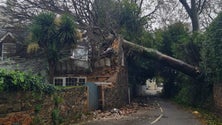 Imagem de Governo Regional acompanha situação em Jersey, onde vivem perto de 15 mil madeirenses (áudio)