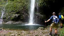 Imagem de Resgate de turista na levada do Caldeirão Verde