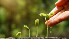Imagem de 78 milhões para projetos agrícolas (áudio)