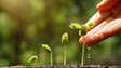 Imagem de 78 milhões para projetos agrícolas (áudio)