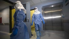Imagem de Covid-19. Terceiro e quarto caso suspeito na Madeira deram negativo