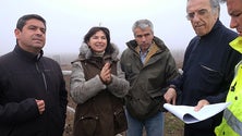 Imagem de 23 mil árvores plantadas no Paul da Serra