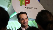 Imagem de TAP promete melhorar pontualidade