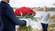 Imagem de Flores lideram as preferências (vídeo)