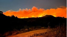 Imagem de Chamas já consumiram 6.000 hectares