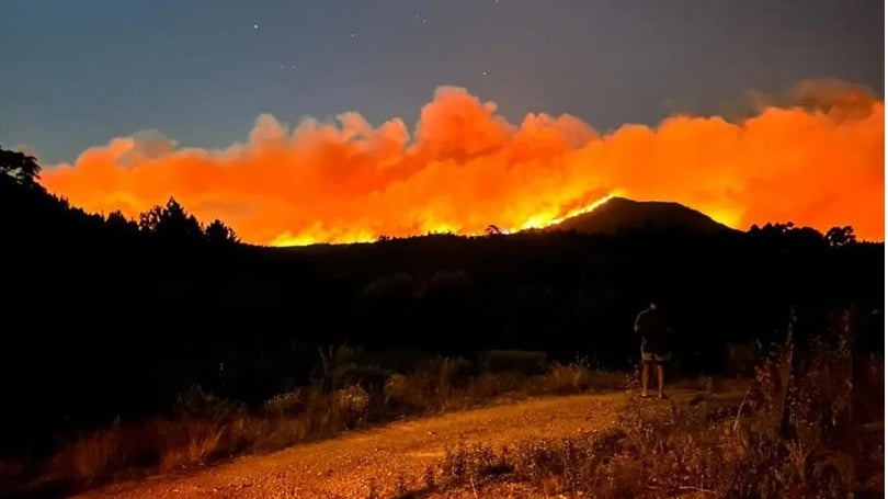 Imagem de Chamas já consumiram 6.000 hectares