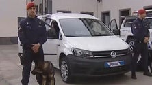 Imagem de Governo da Madeira entrega viaturas à PSP adquiridas com dinheiro de multas