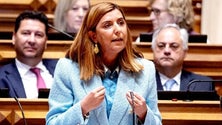 Imagem de PSD dá entrada a um requerimento para uma audição à ministra da Ciência (áudio)