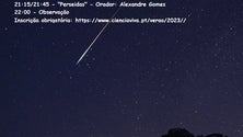 Amanhã à noite o céu estará propício para observar estrelas cadentes (áudio)