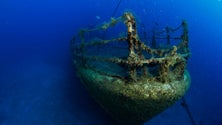Imagem de Direção Regional do Mar lança guia de mergulho (áudio)