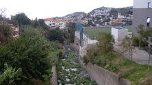 Imagem de Homem morre ao cair de ponte no Funchal