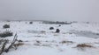 Imagem de Neve continua a atrair curiosos (vídeo)