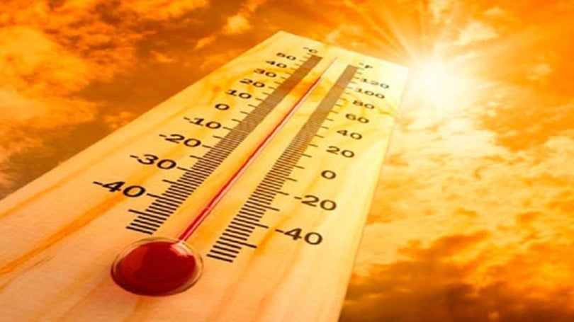 Imagem de Madeira sob aviso amarelo devido ao tempo quente