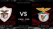 Esperada lotação esgotada no Santa Clara-Benfica [Vídeo]