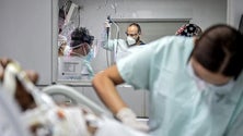 Imagem de Portugal transfere dez doentes para a Áustria