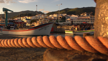 Imagem de Governo aprova criação do Regime de Apoio Extraordinário ao Rendimento dos Pescadores