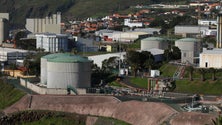 Imagem de Madeira tinha 30 mil empresas em 2019