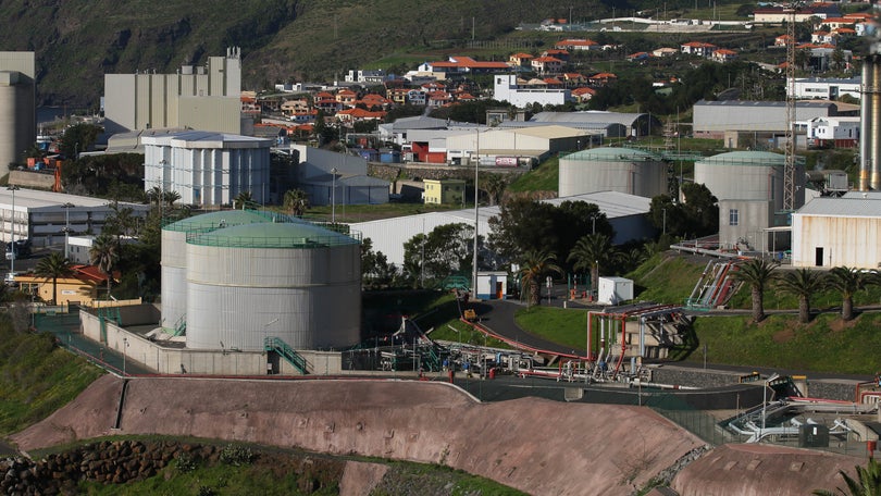 Imagem de Madeira tinha 30 mil empresas em 2019
