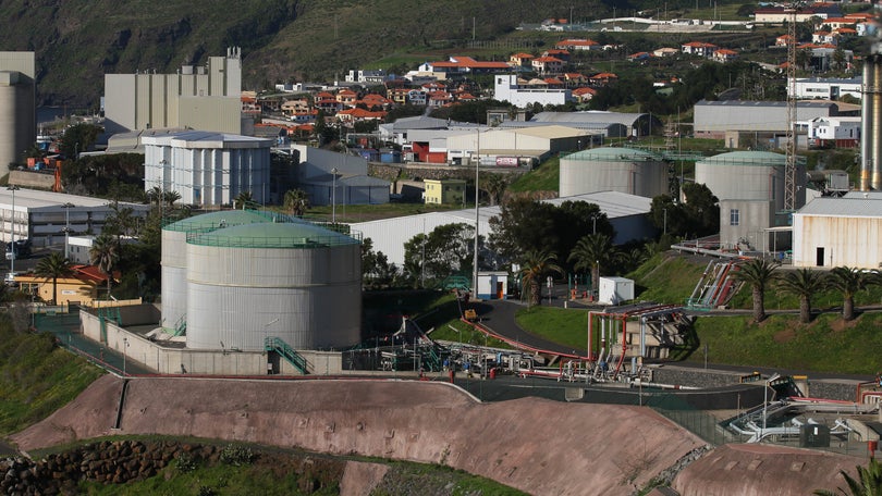 Madeira tinha 30 mil empresas em 2019