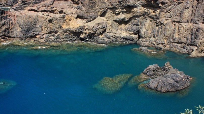 Imagem de Cadáveres recolhidos no Porto Santo alvo de investigação pela PJ