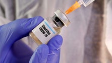 Imagem de Covid-19: Infarmed sem data previsível para chegada de vacina
