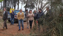 Imagem de Secretaria do Ambiente limpou 77 hectares de terrenos florestais este ano