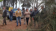 Secretaria do Ambiente limpou 77 hectares de terrenos florestais este ano