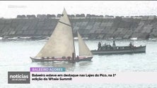 Madeirense participou na 1.ª edição da Whale Summit (vídeo)