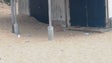Imagem de Lixo espalhado no areal do Porto Santo (vídeo)