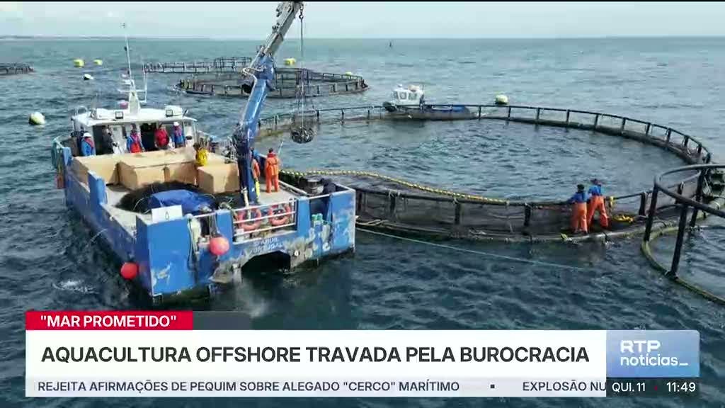 Imagem de 
