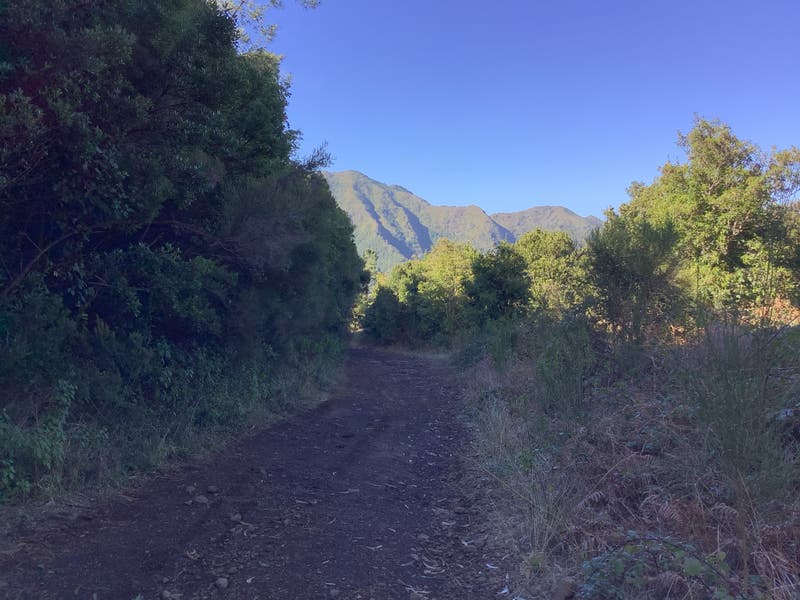 Francisco Guerreiro diz que Unesco rejeitou Ginjas