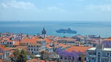 Imagem de Destino Madeira promovido nos Estados Unidos