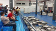 Imagem de Menos peixe descarregado, melhor receita (áudio)