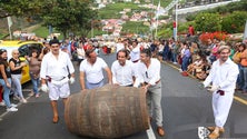 Imagem de Governo da Madeira anuncia apoio à criação de Museu do Vinho
