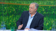 Imagem de Fontes enfrenta Pereira no Marítimo (vídeo)