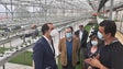 Imagem de Madeira disponível para ajudar (vídeo)