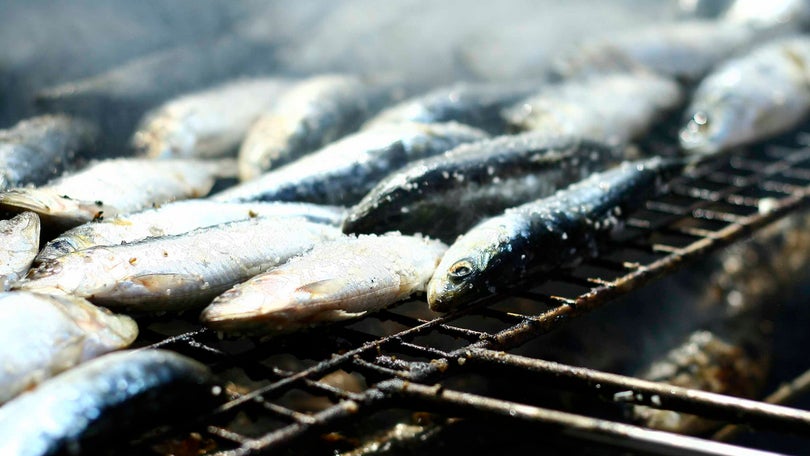 Pesca da sardinha proibida até ao final de abril