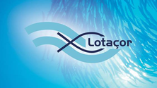 Imagem de Governo vai aumentar o capital social da Lotaçor (Som)