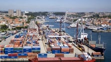 Imagem de Polícia Judiciária apreende contentor no Porto de Leixões com 400 quilos de cocaína