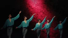 Imagem de Mensagem do Dia Mundial da Dança apela à união do setor e ações concretas